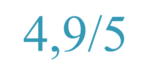 Promedio de 4,9 sobre 5 en valoraciones publicadas por antiguos estudiantes sobre EBIS logo